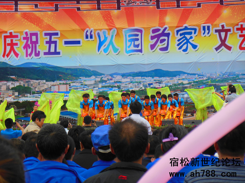 宿松新世纪论坛.jpg(2)_副本.jpg