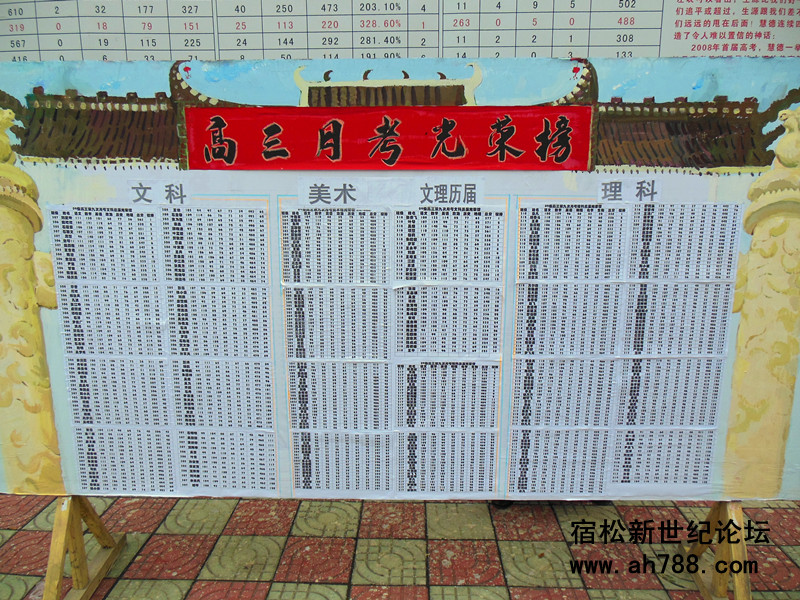宿松新世纪论坛(2).jpg