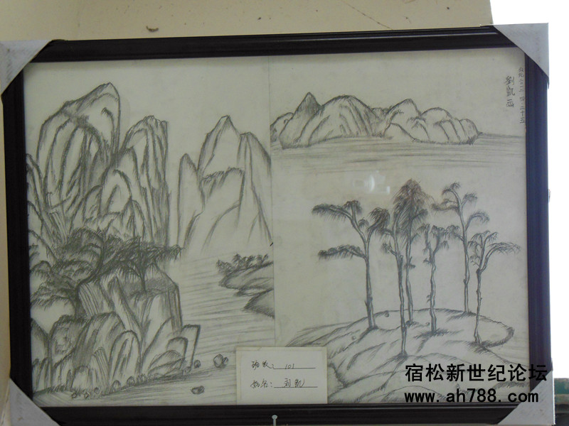 宿松新世纪论坛(6).jpg