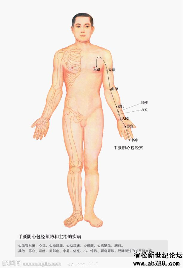 宿松新世纪论坛图片1_副本.jpg