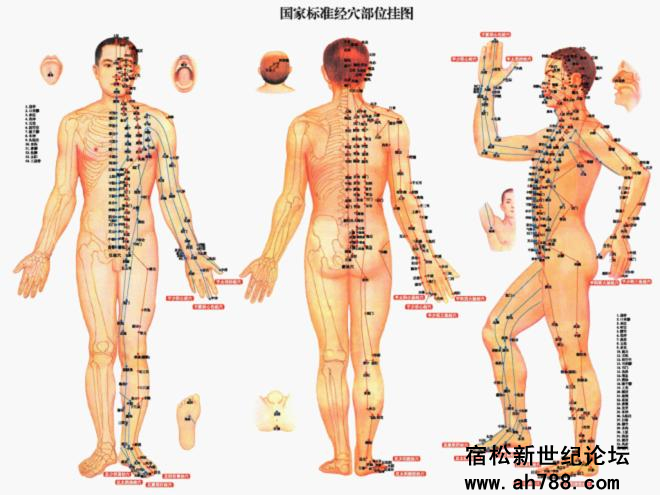 宿松新世纪论坛图片6_副本.jpg