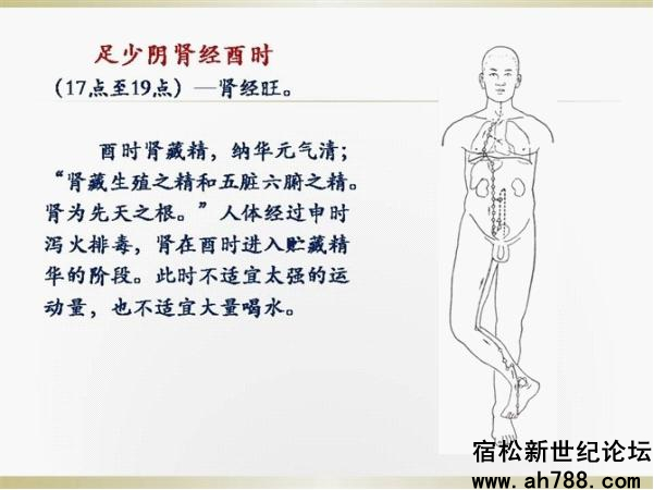 宿松新世纪论坛图片9_副本.jpg