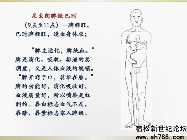 宿松新世纪论坛图片10_副本.jpg