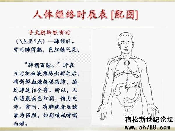 宿松新世纪论坛图片15_副本.jpg