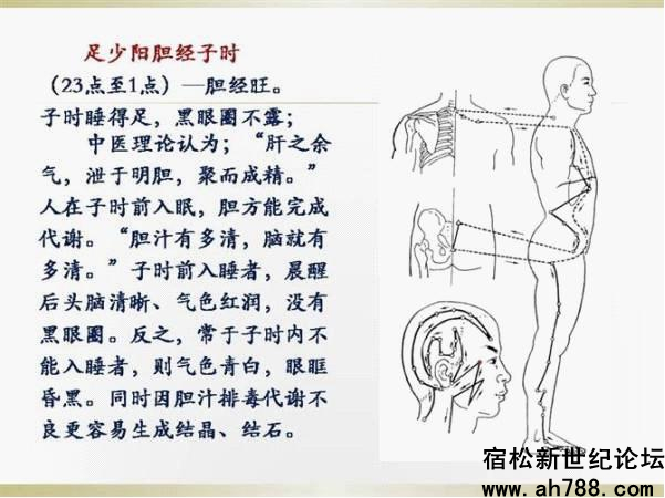 宿松新世纪论坛图片16_副本.jpg