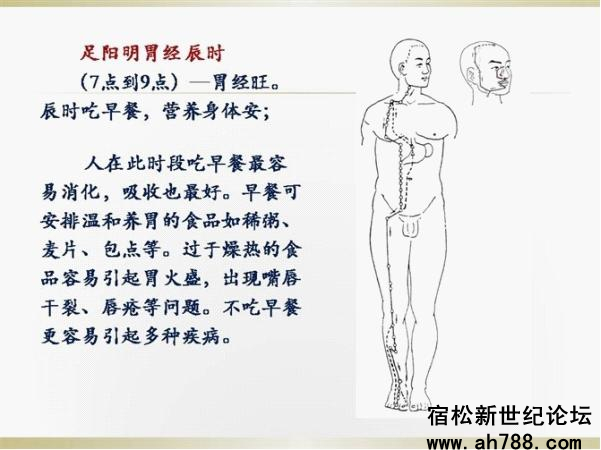 宿松新世纪论坛图片17_副本.jpg