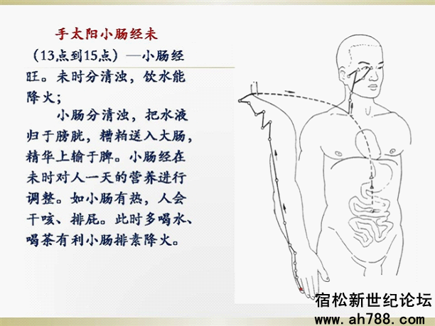 宿松新世纪论坛图片18_副本.png