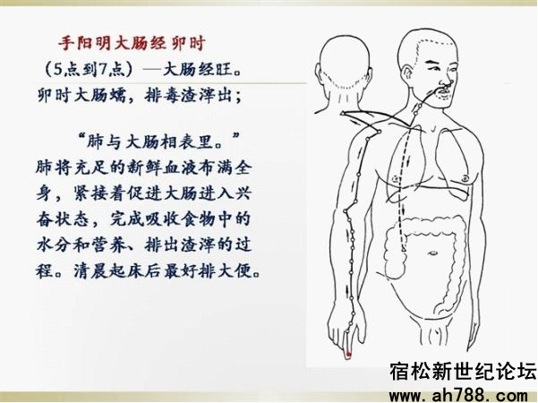 宿松新世纪论坛图片19_副本.jpg