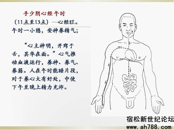 宿松新世纪论坛图片13_副本.jpg