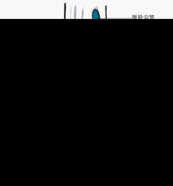 宿松新世纪论坛图片28_副本.jpg