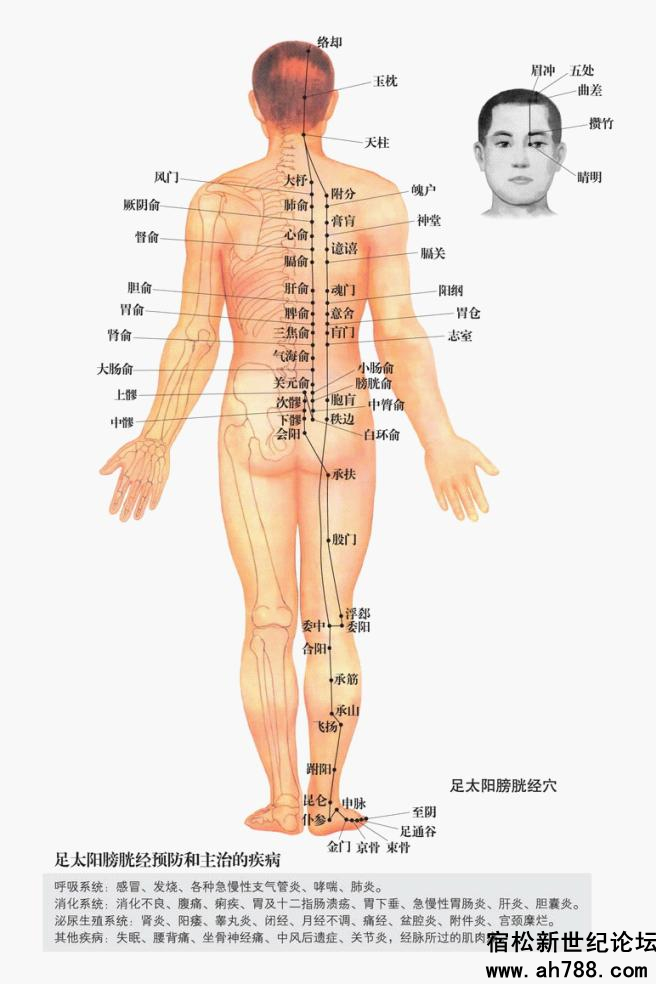 宿松新世纪论坛图片29_副本.jpg