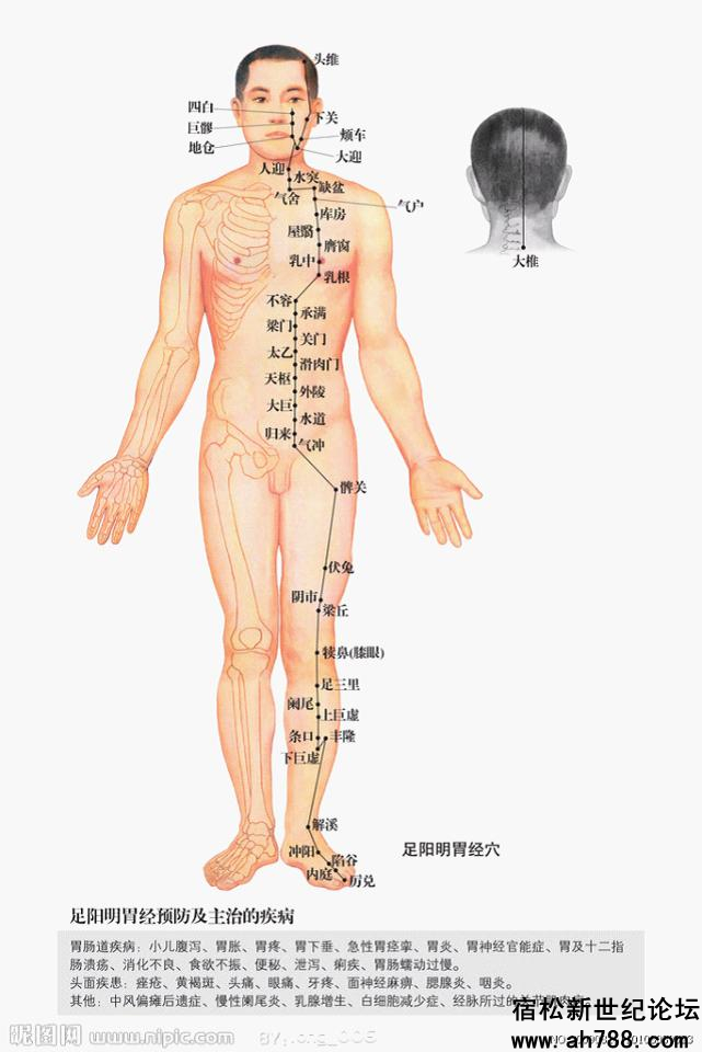 宿松新世纪论坛图片30_副本.jpg