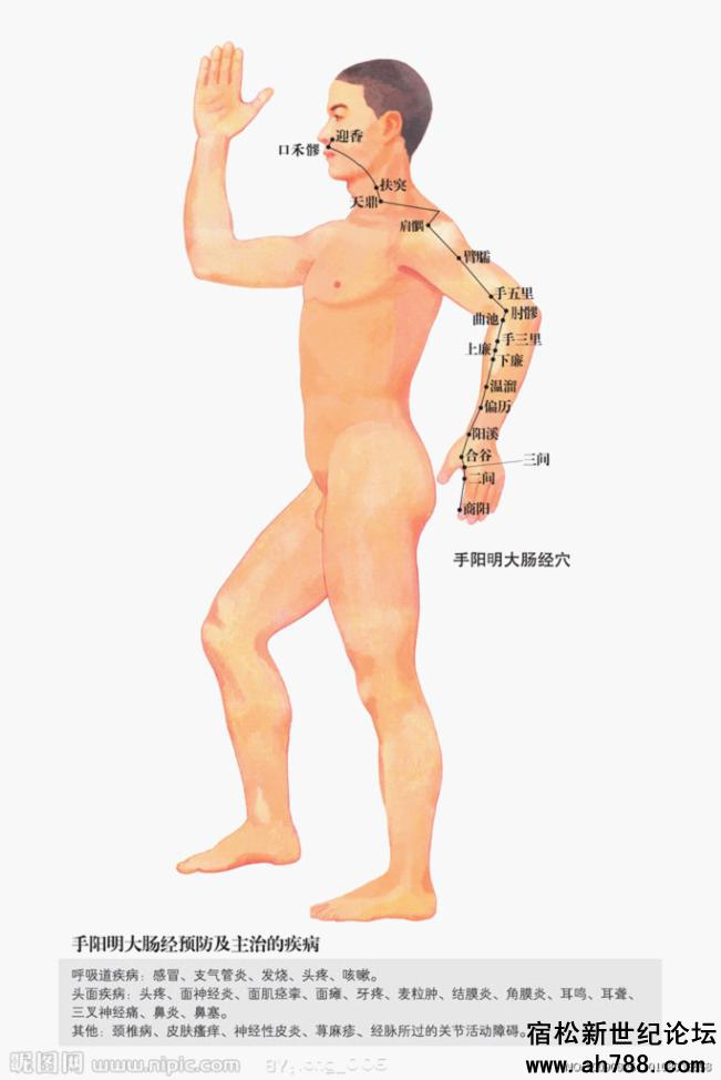 宿松新世纪论坛图片36_副本.jpg