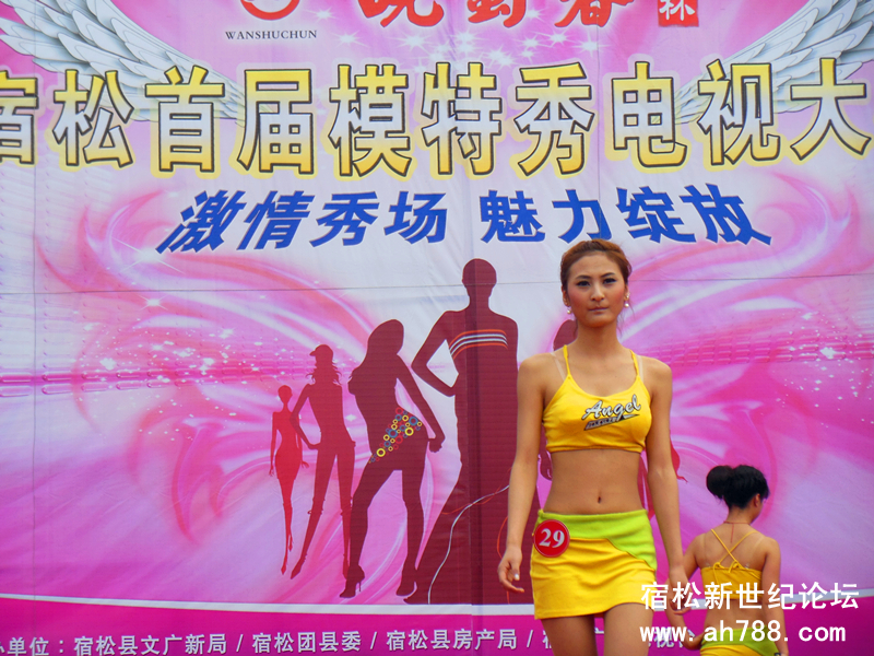 宿松新世纪论坛(44).jpg
