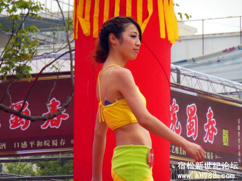 宿松新世纪论坛(35).jpg