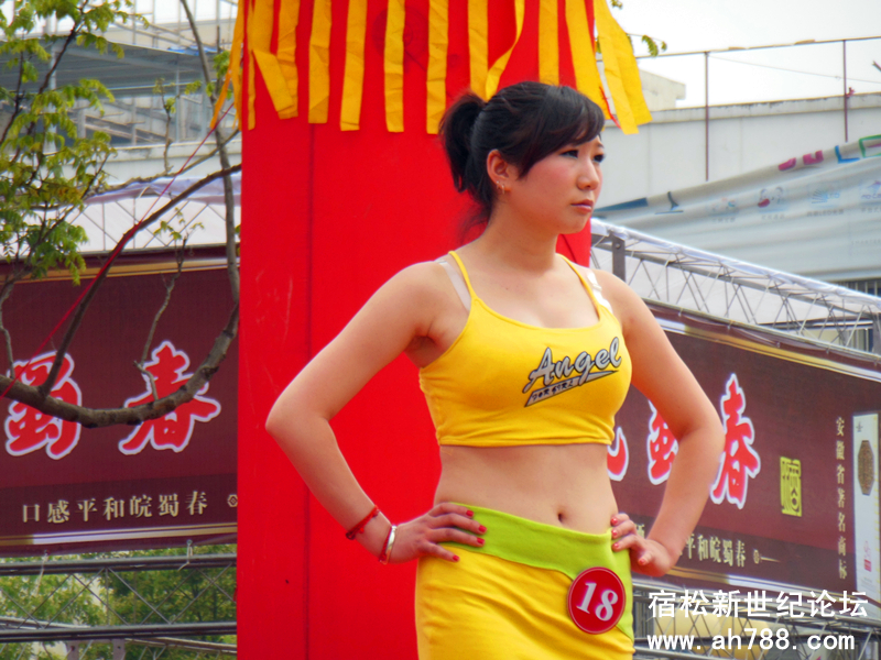 宿松新世纪论坛(36).jpg