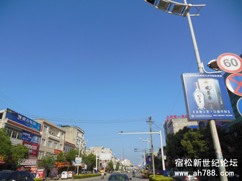 宿松新世纪论坛2.jpg