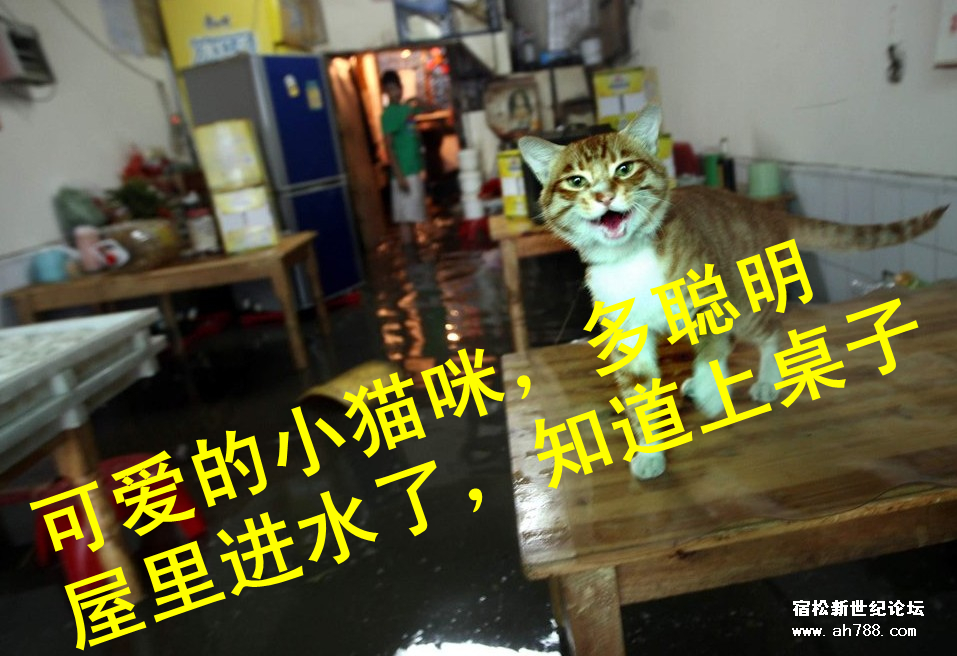 QQ截图20120514095916_副本.jpg