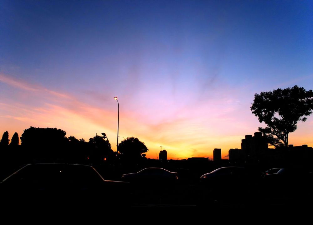 201205151538406737-2369314.jpg