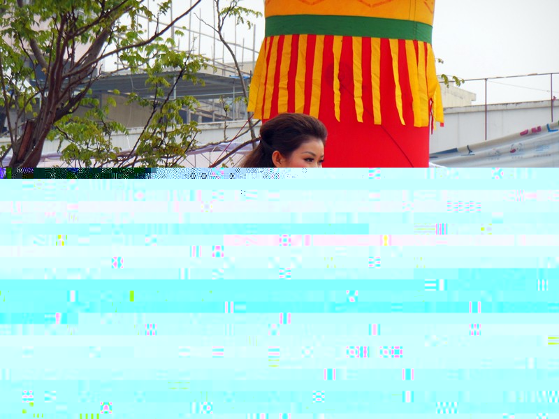 宿松新世纪论坛(26).jpg