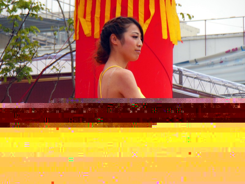 宿松新世纪论坛(35).jpg