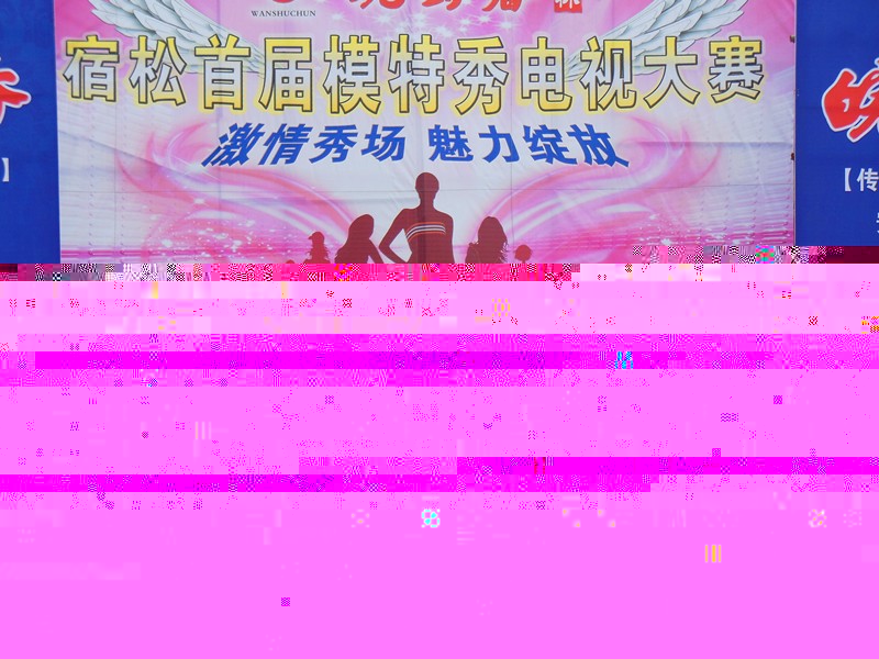 宿松新世纪论坛(51).jpg