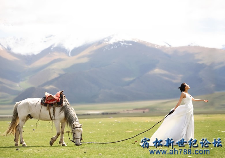 20120224182136046l_5.jpg