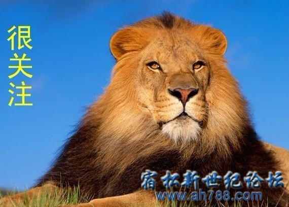 未命名很关注.jpg