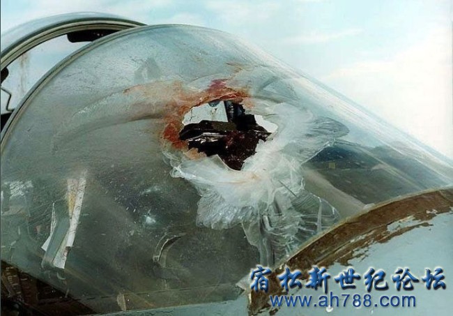 未命名9.jpg