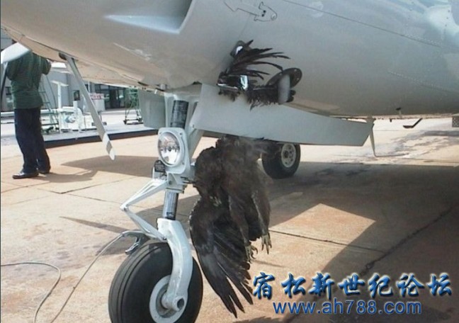 未命名11.jpg