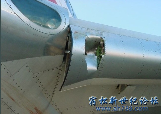 未命名12.jpg