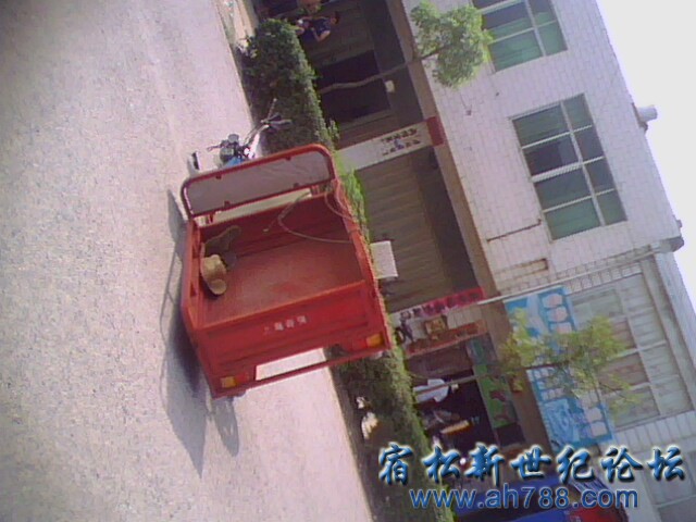 IMG1501A.jpg