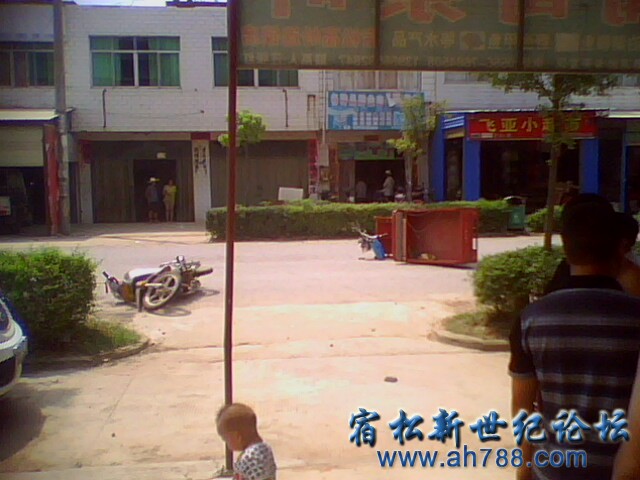 IMG1515A.jpg
