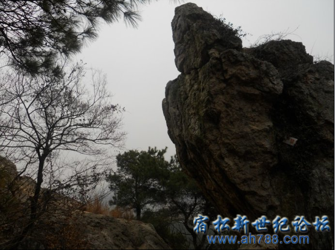 QQ截图20120715175402.png