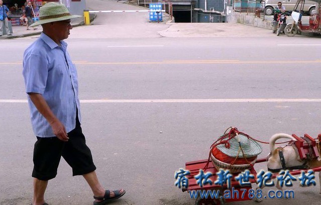 未命名1.jpg