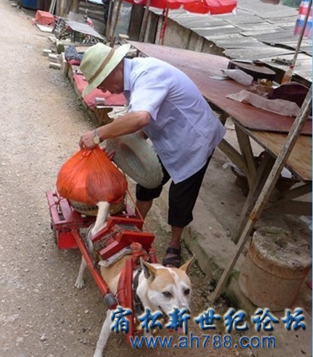 未命名3.jpg