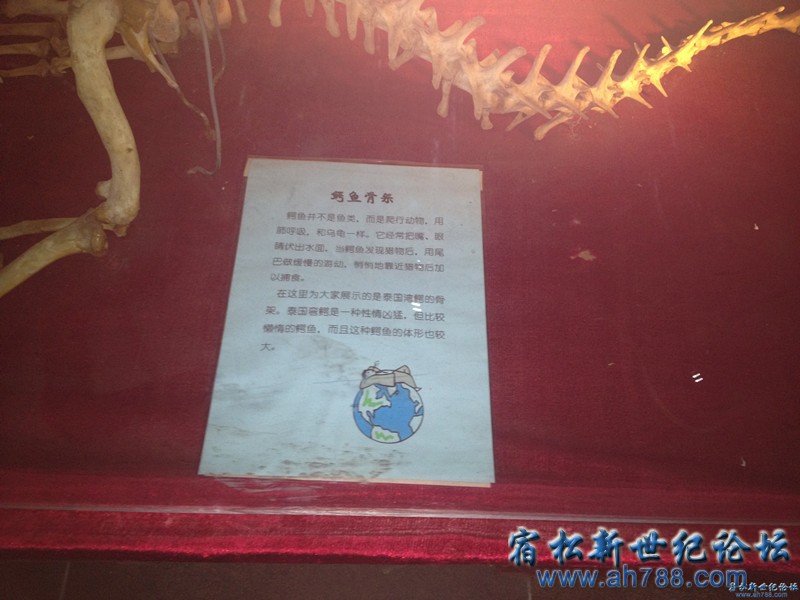 1132191sg1484qmw38h5oq_副本.jpg
