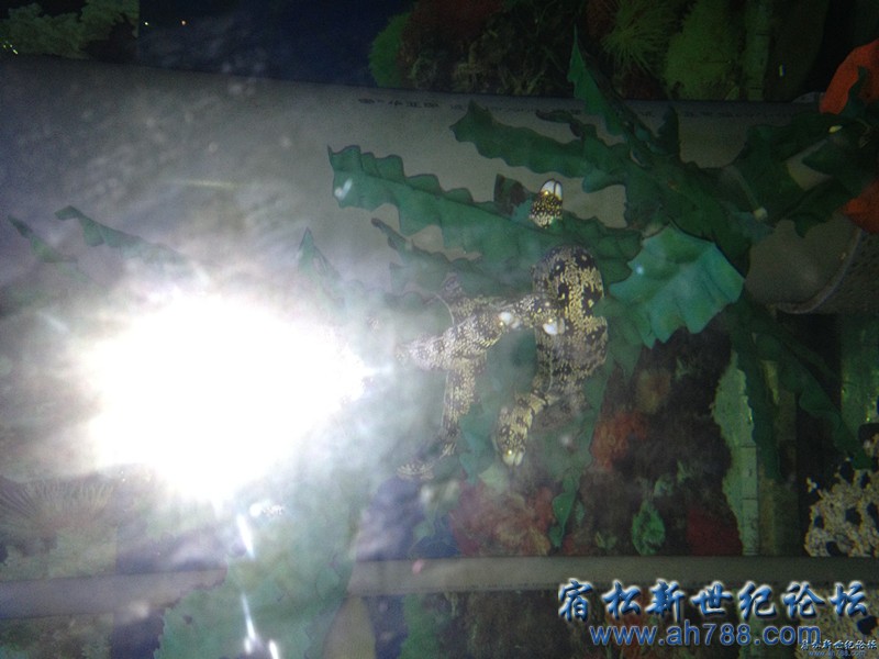 113923pppfvpz317qwq13i_副本.jpg