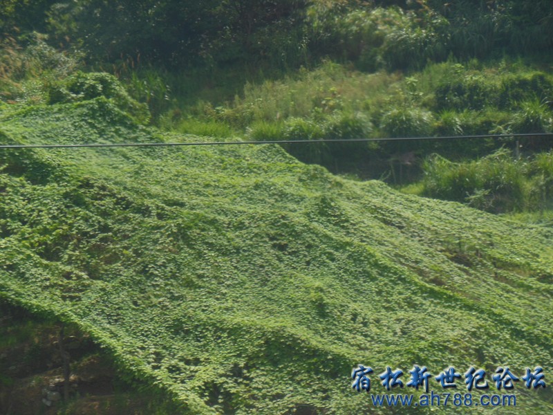 DSCN3229_副本.jpg