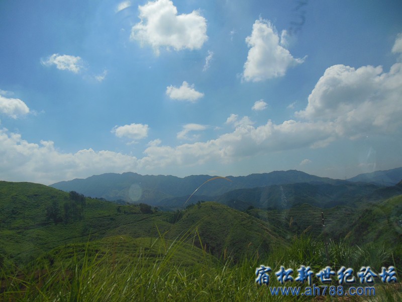 DSCN3235_副本.jpg