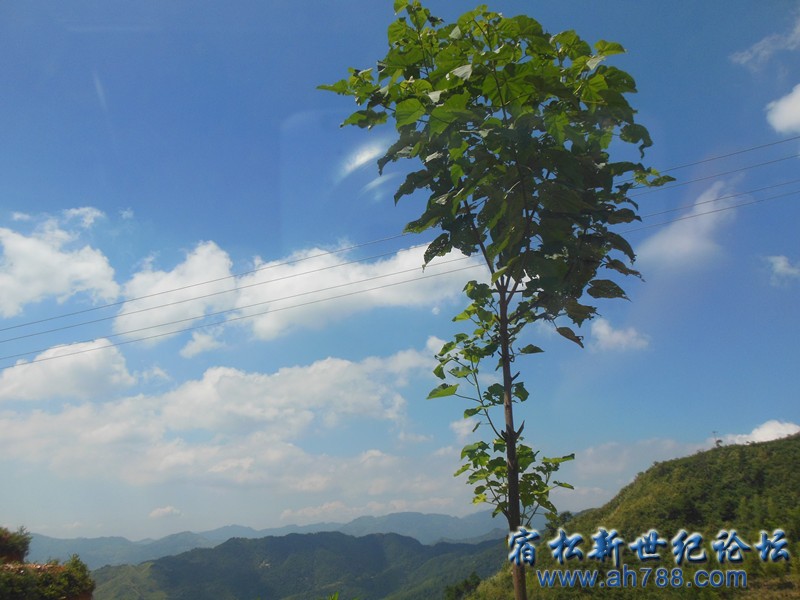 DSCN3236_副本.jpg