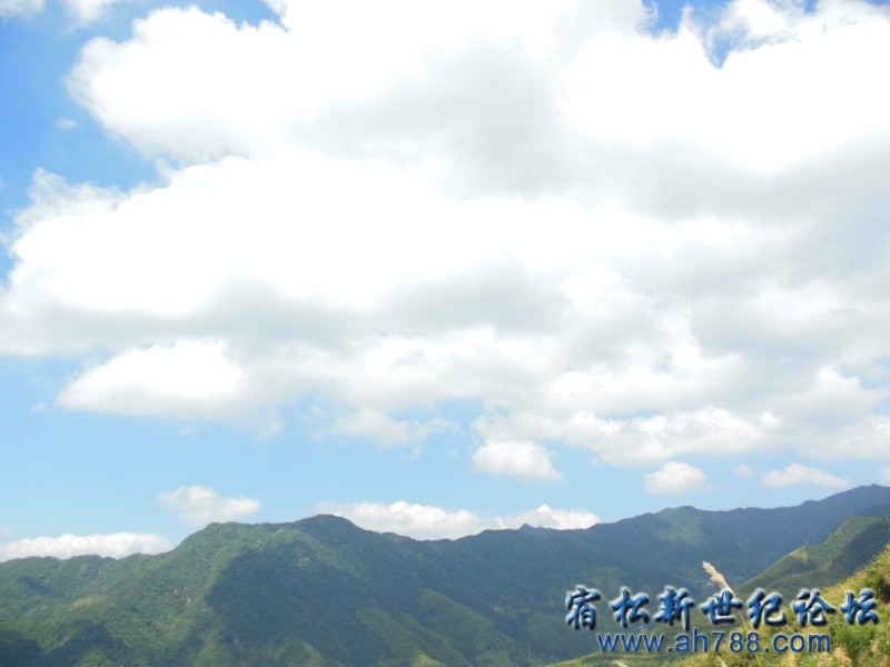 DSCN3241_副本.jpg