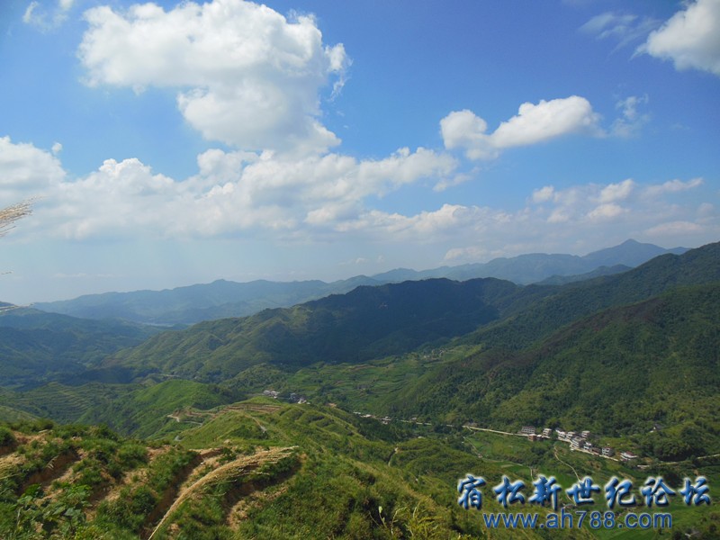 DSCN3243_副本.jpg