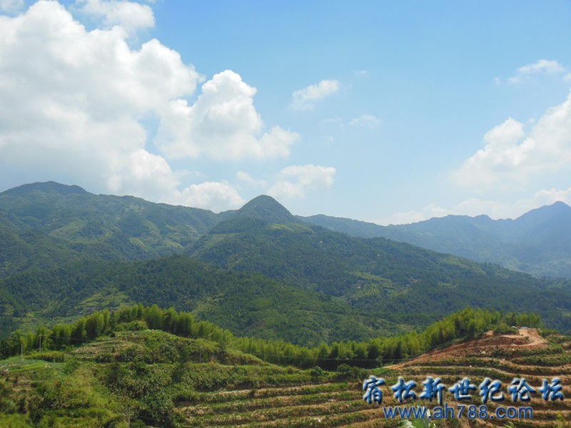 DSCN3252_副本.jpg