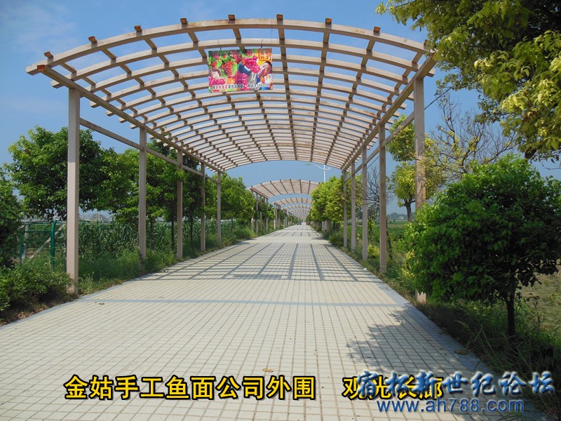外围长廊 金姑鱼面，宿松新世纪论坛何仁 摄.jpg