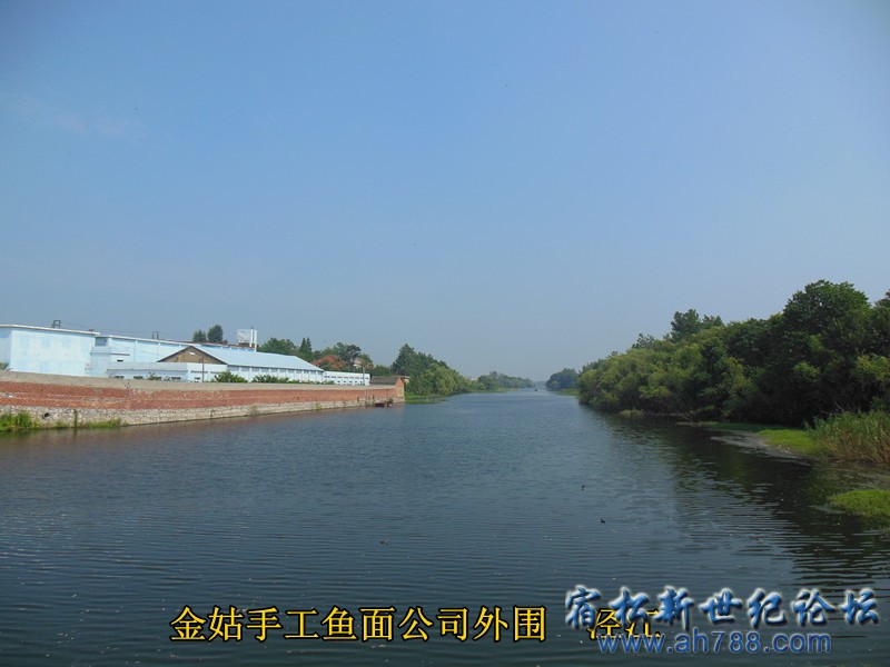 外围泾江  金姑鱼面，宿松新世纪论坛何仁 摄.jpg