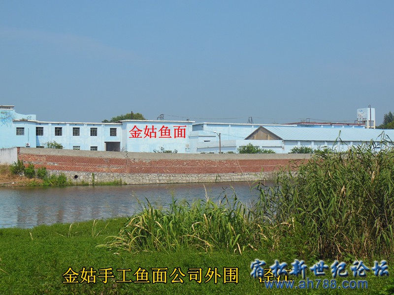 外围泾江 金姑鱼面，宿松新世纪论坛何仁 摄.jpg
