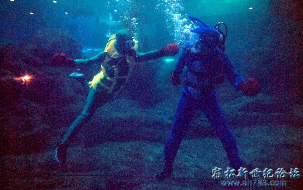 QQ截图20120813004334.jpg