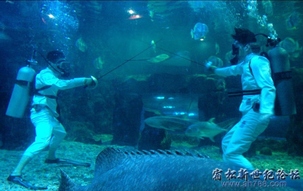QQ截图20120813004418.jpg