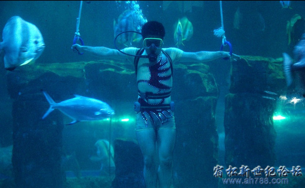 QQ截图20120813004438.jpg